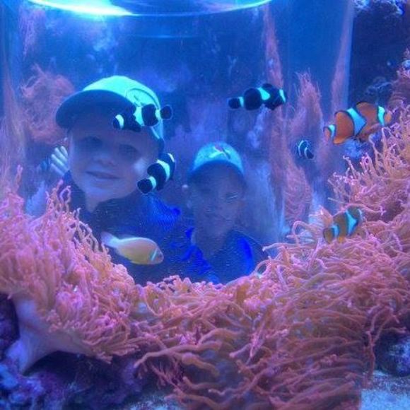 Meet your Posher, Barb - Picture 1 of 1